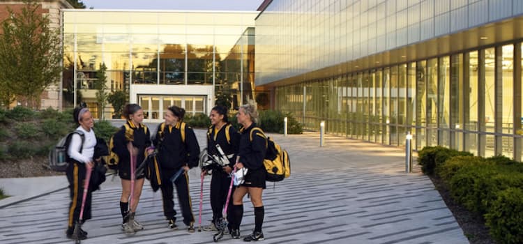 Adelphi University – Fiyatı – Bölümleri & Kabul Şartları